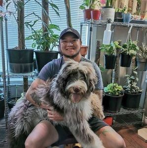 Meet your Posher, David joshua